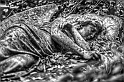 Riposo senza fine (Highgate Cemetery)
